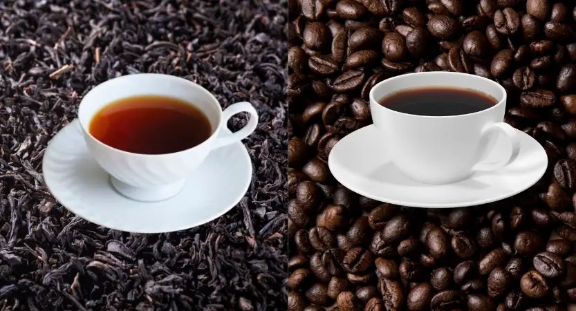 black-tea-vs-coffee
